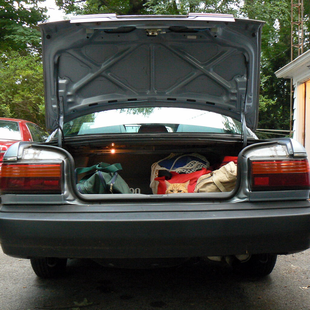 Photo of a car trunk