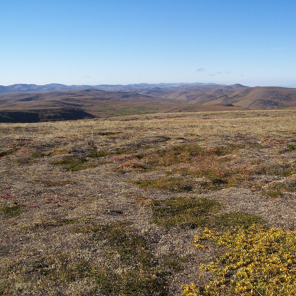 Photo of tundra