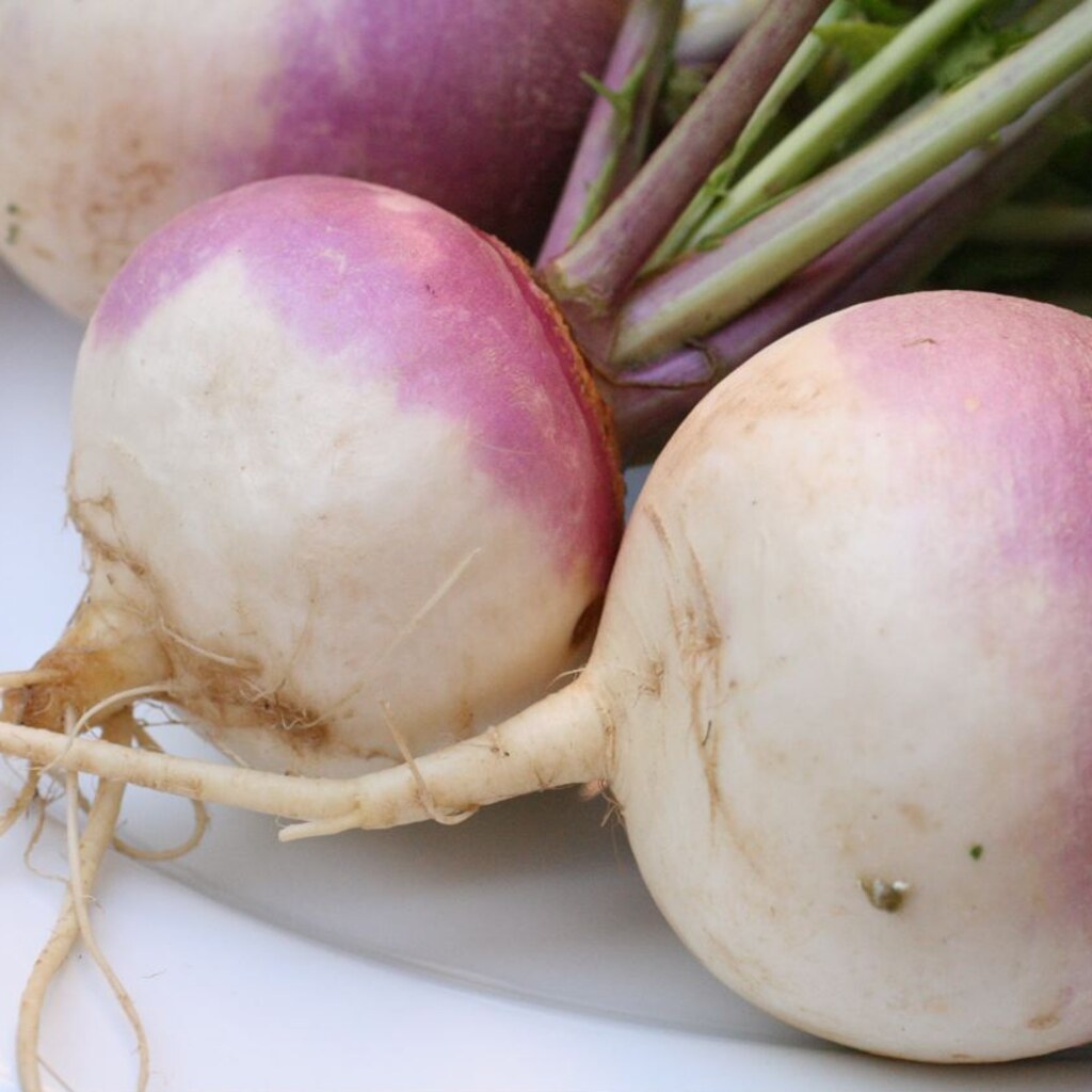 Photo of turnips