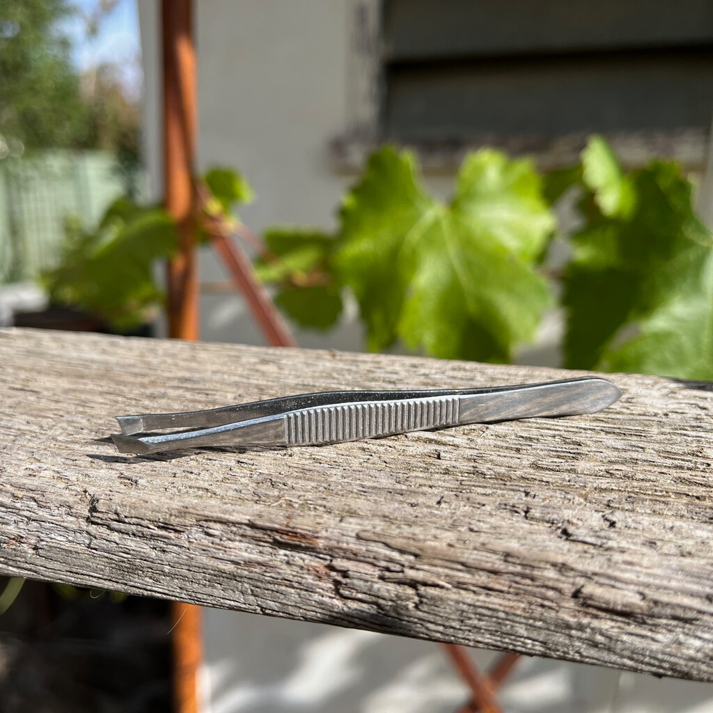 Photo of tweezers