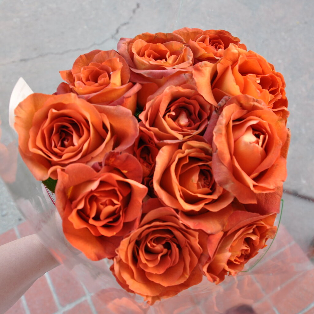 Photo of twelve roses