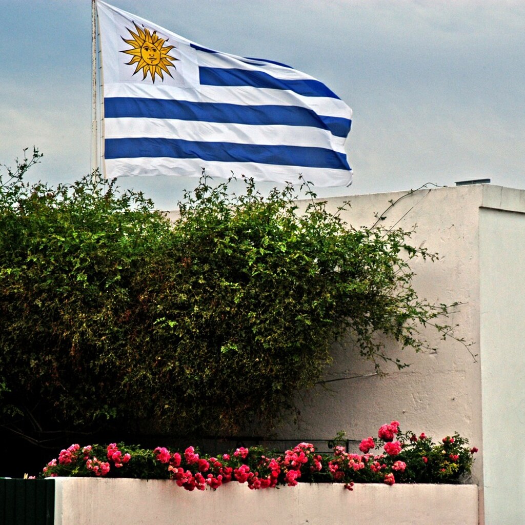 Photo of the Uruguay flag