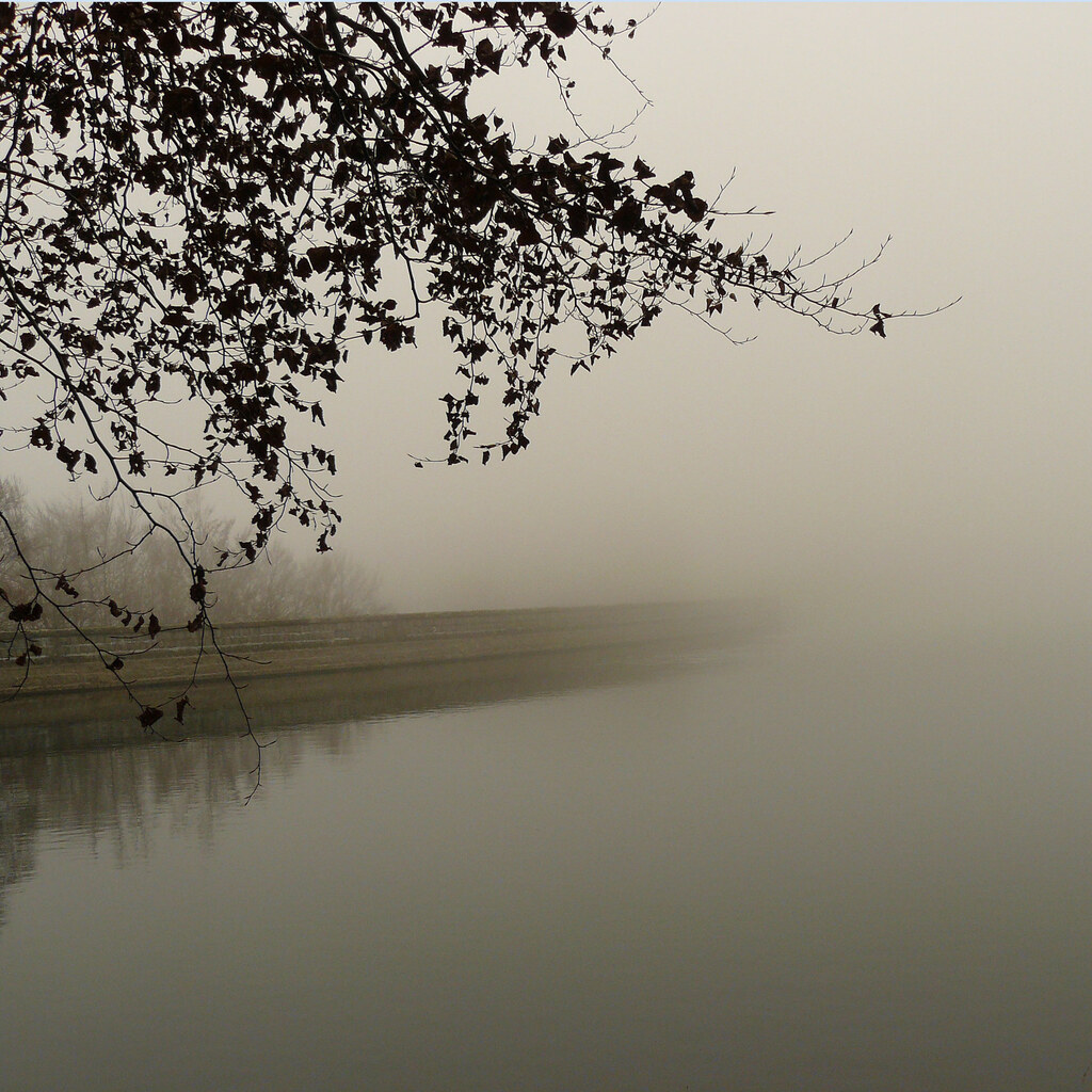 Photo of a scene vanishing into the mist