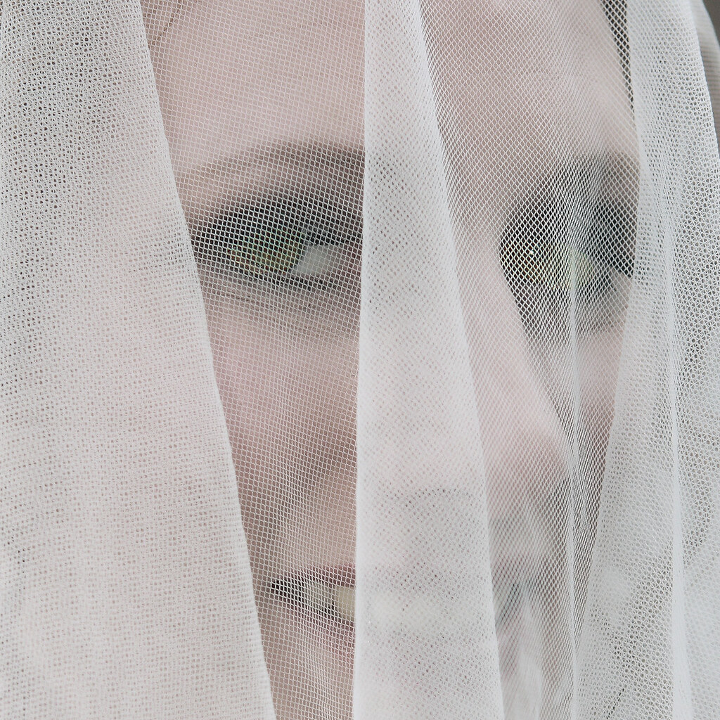 Photo of a woman wearing a veil