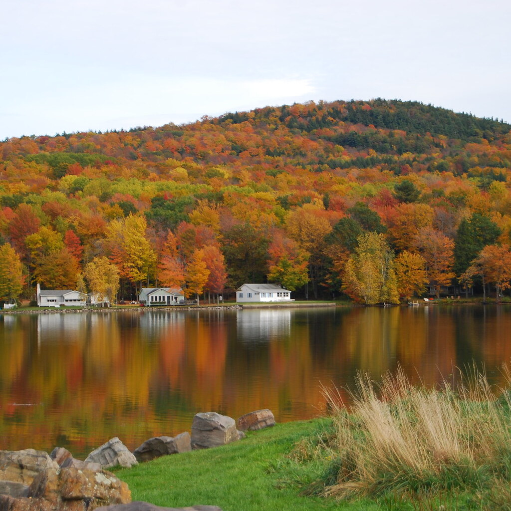 Photo of fall foliage in Vermont