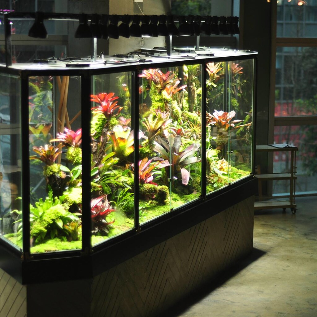 Photo of a vivarium