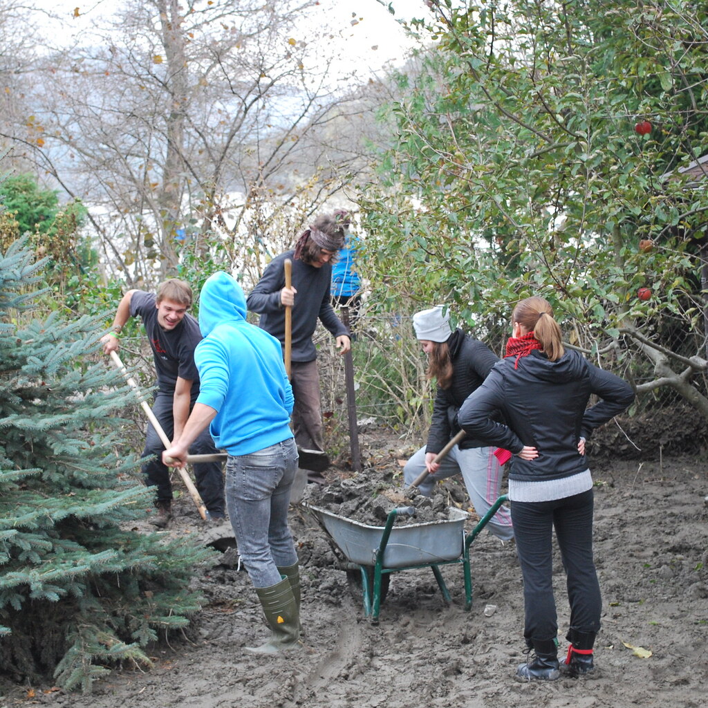 Photo of volunteers doing cleanup