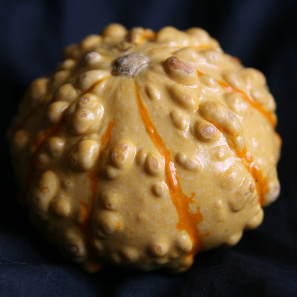 Photo of a warty gourd