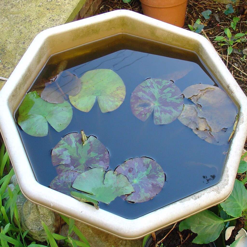 Photo of a container of water