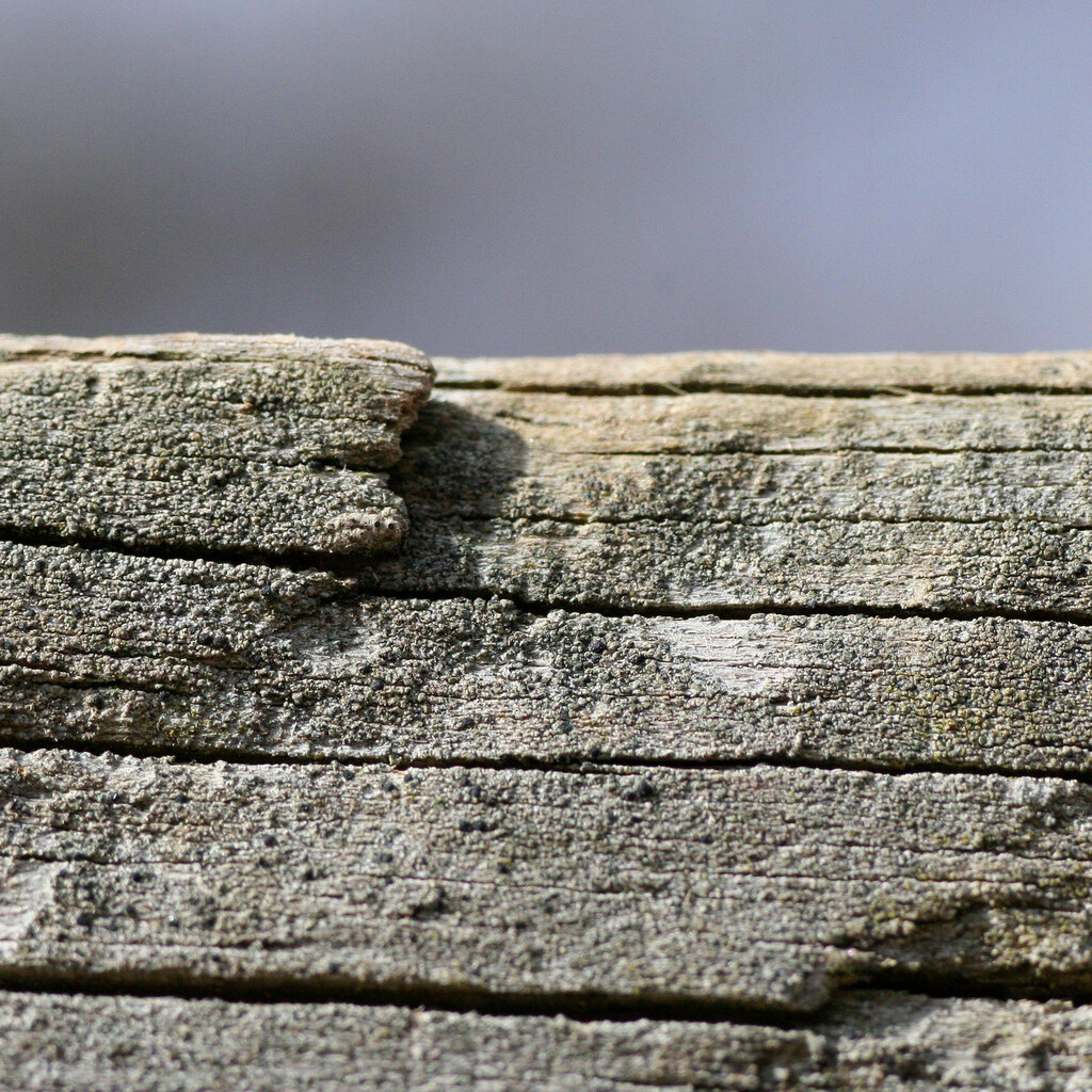 Photo of weathered wood