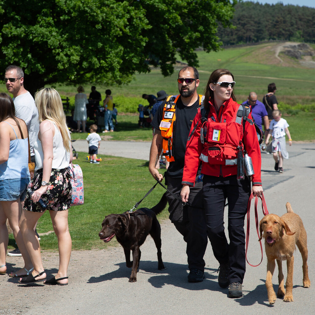 Photo of people at a park on the weekend