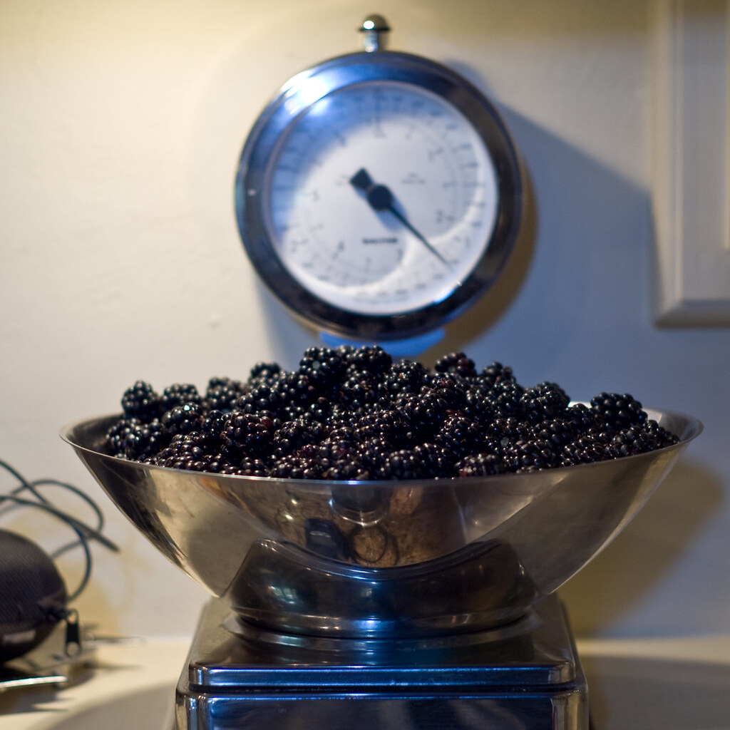 Photo of some blackberries on a scale