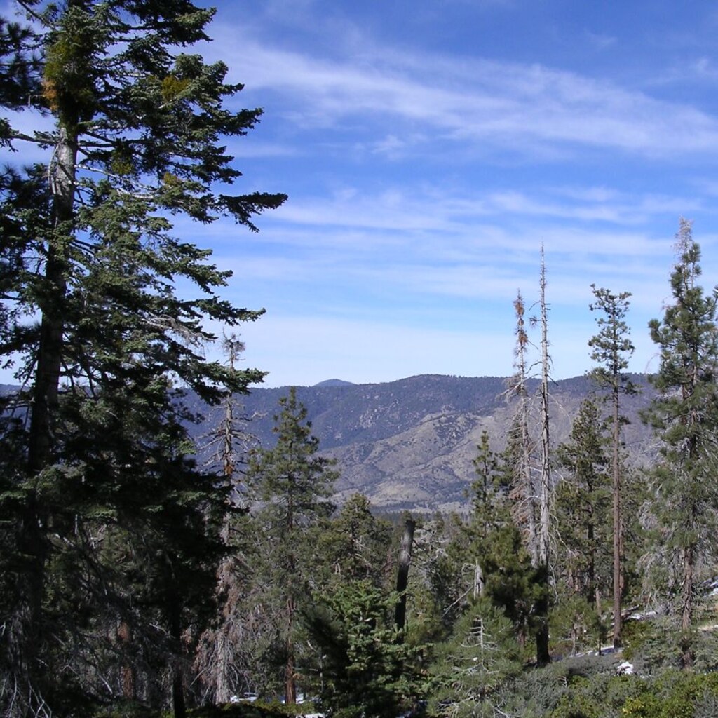 Photo of wilderness