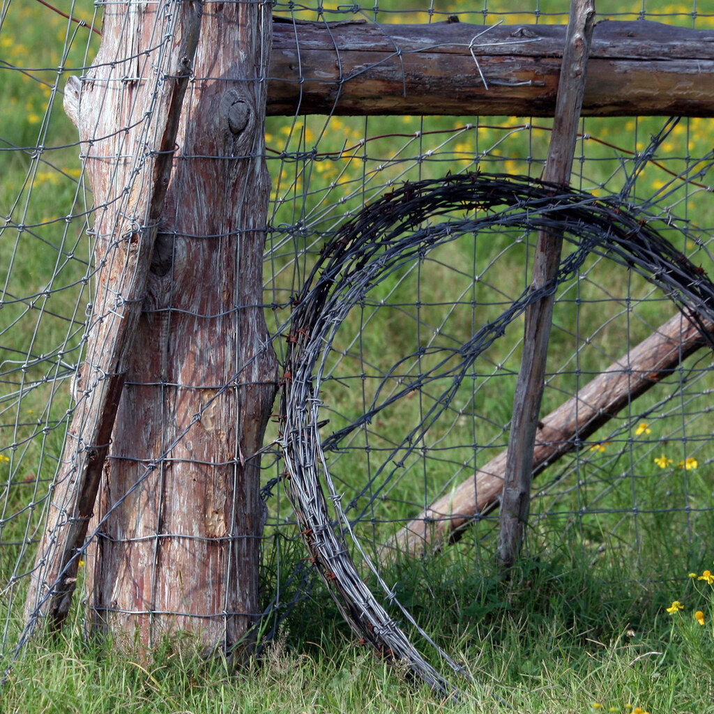 Photo of a roll of fencing wire