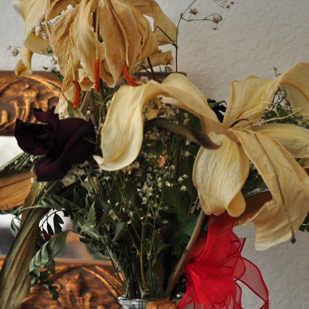 Photo of withered flowers
