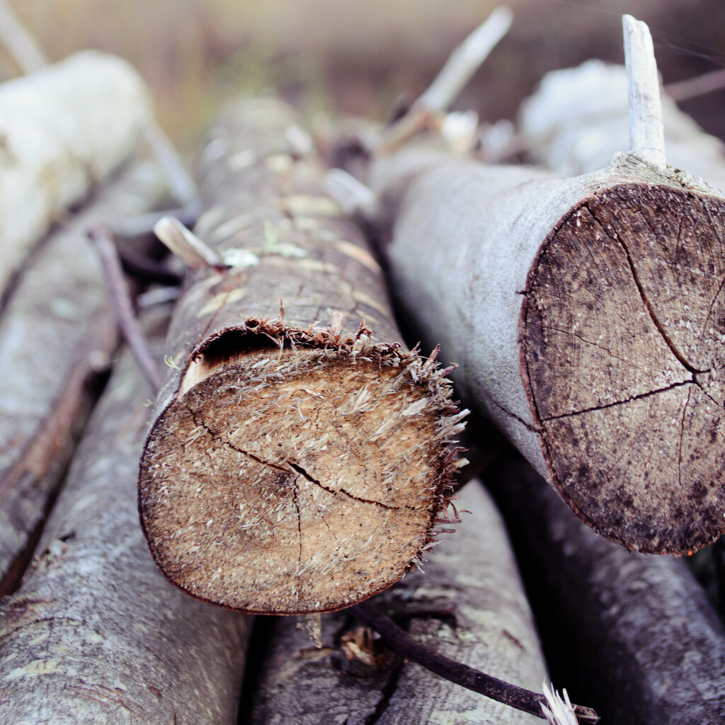 Photo of cut wood