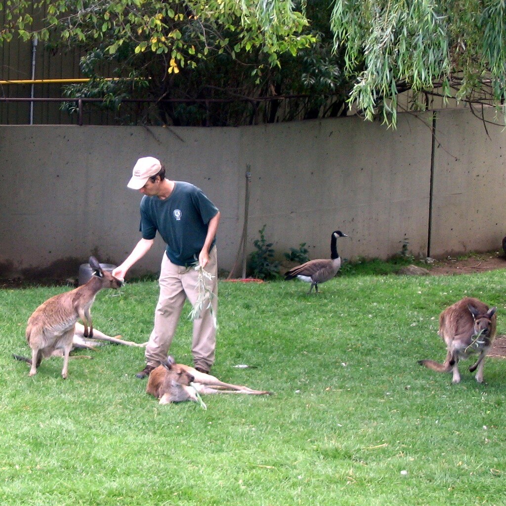 Photo of a zookeeper