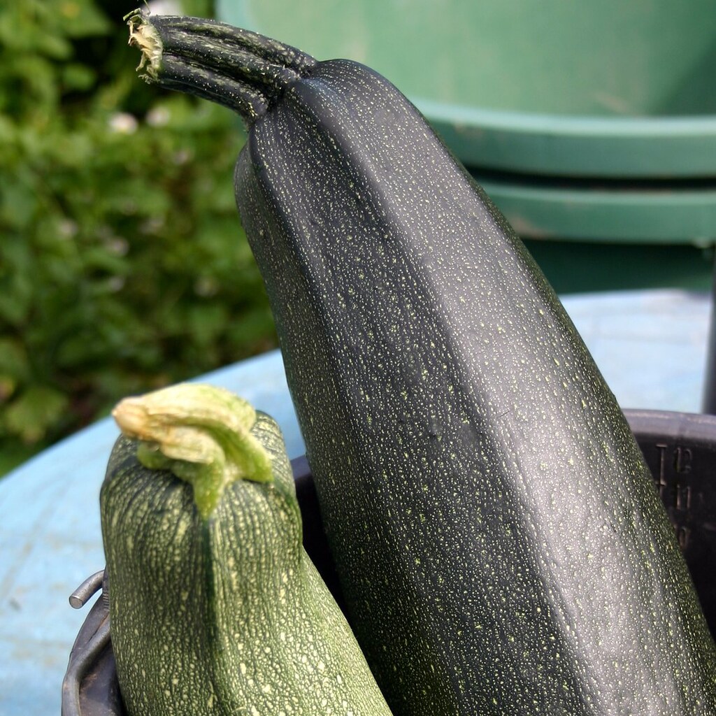 Photo of courgettes